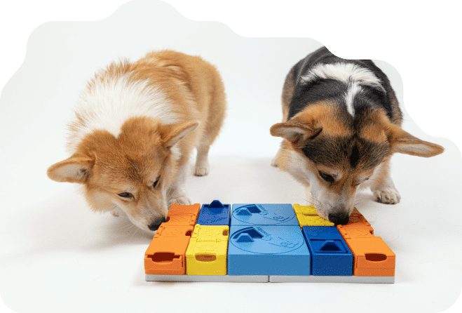 Pawzler - Innovative Modular Dog Puzzles