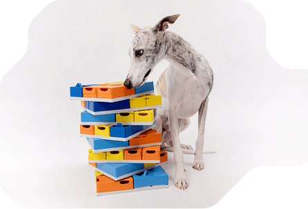 Pawzler - Innovative Modular Dog Puzzles